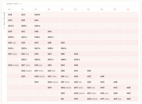 biggest breast size|Finally, Bra Sizes Explained – Understanding How Bra And.